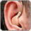 Kettcar Thumb 07