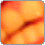 Schrottgrenze Thumb 14
